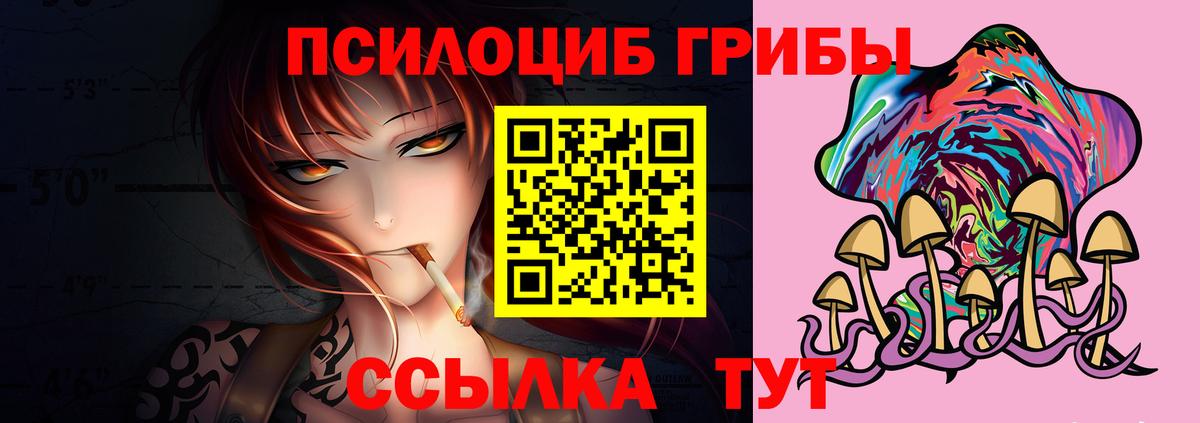 Псилоцибиновые грибы Psilocybine cubensis Орёл
