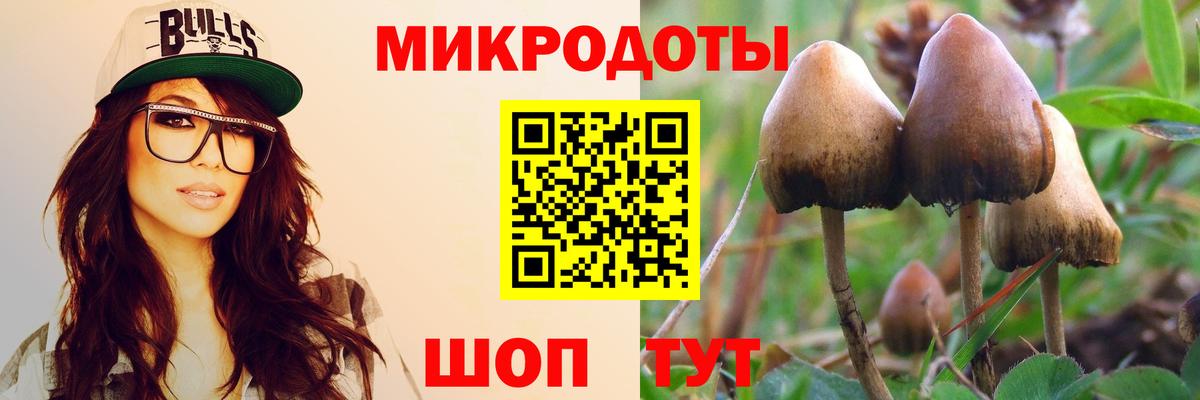 Орёл  Галлюциногенные грибы GOLDEN TEACHER  Вход с VPN 